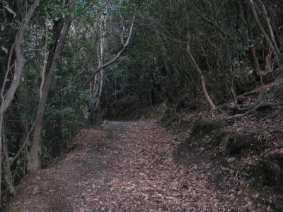 a0048823_1750088.jpg
