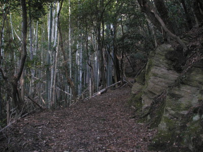 a0048823_17513050.jpg