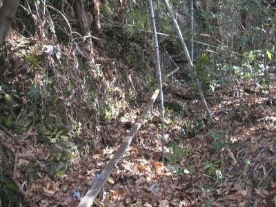 a0048823_1853724.jpg