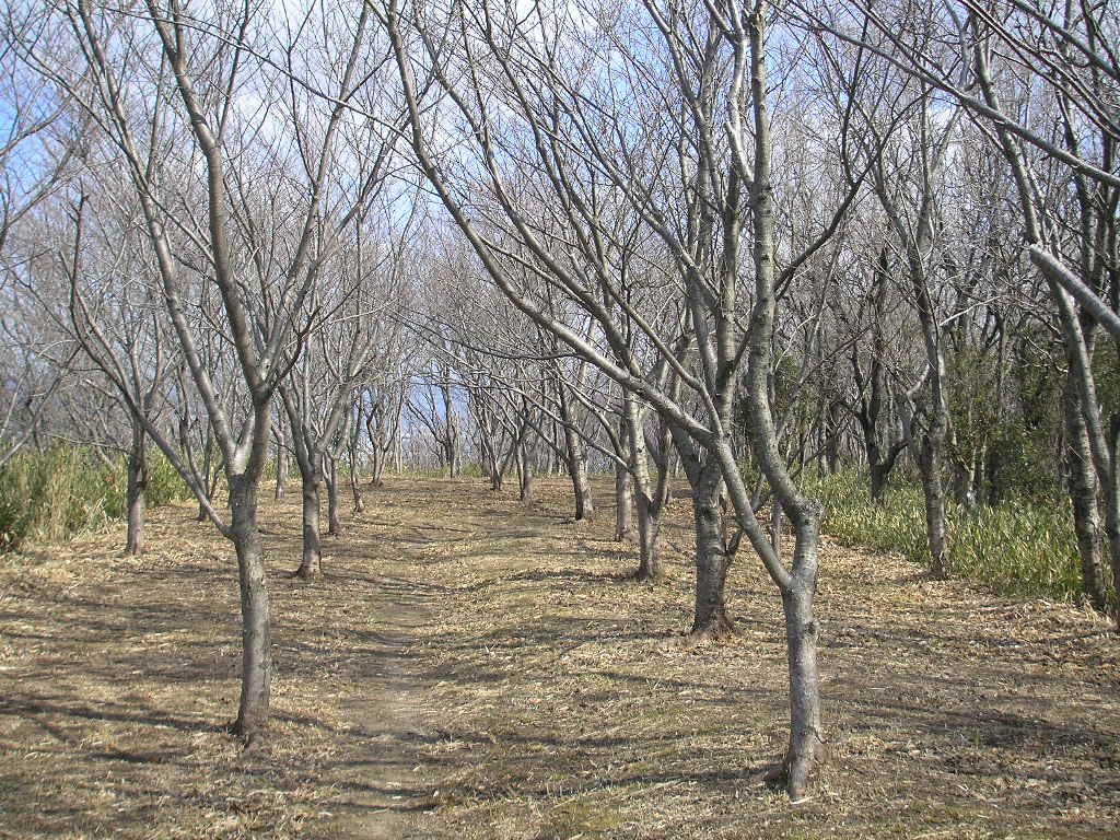 a0048823_19161364.jpg
