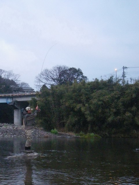 c0202727_1773249.jpg