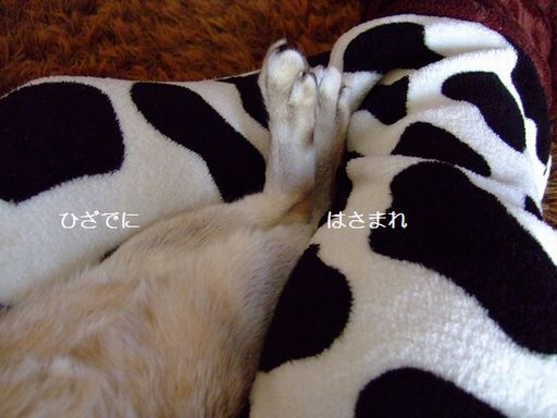 目線をください _c0060128_1505011.jpg