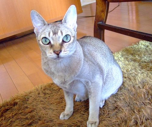 目線をください _c0060128_1518511.jpg