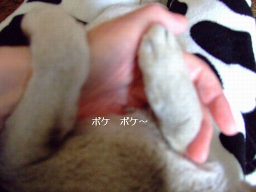目線をください _c0060128_1523068.jpg