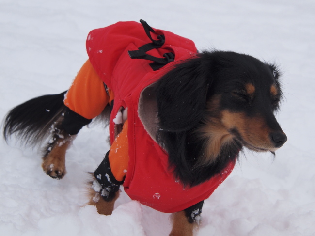 １３年３月３日　雪遊びの思い出♪_c0117831_2011510.jpg