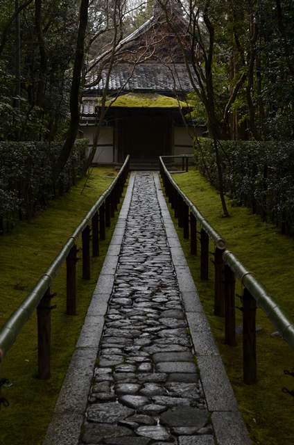 高桐院　Kotoin Temple_a0290739_20134065.jpg