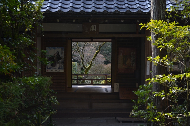 高桐院　Kotoin Temple_a0290739_20143362.jpg