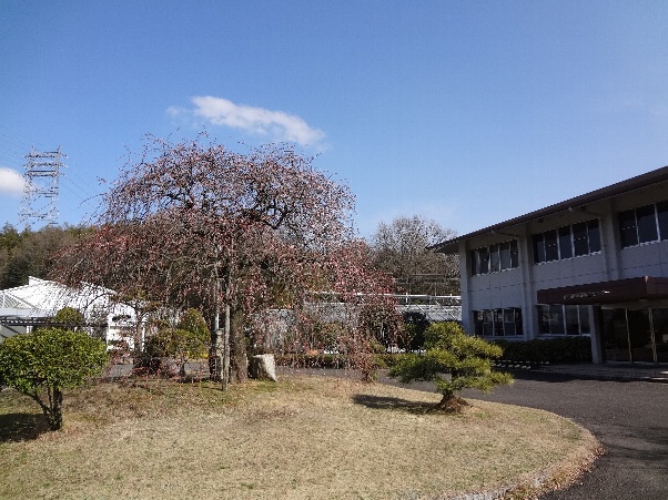 b0149340_20165671.jpg