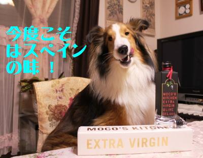TPP交渉?いいえ我が家はPPP_e0195743_20473552.jpg