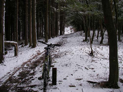 d0144550_21314154.jpg