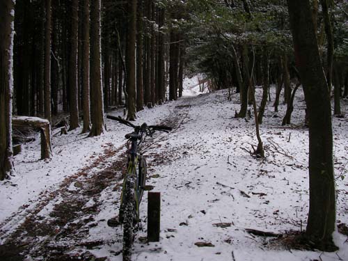 久々の日曜日、山行き。大津の山_d0144550_21314154.jpg