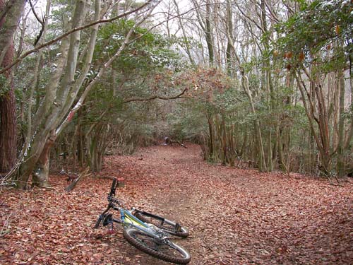 久々の日曜日、山行き。大津の山_d0144550_21414259.jpg