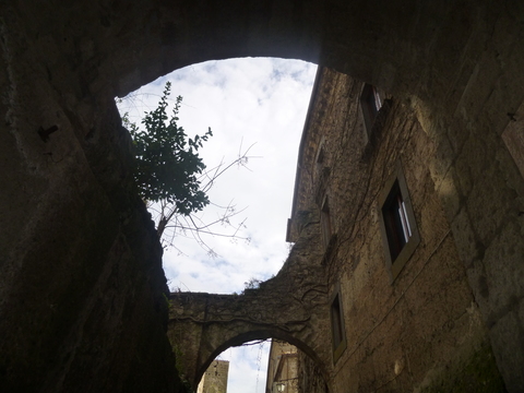 c0206352_6221275.jpg
