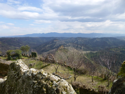 c0206352_6334246.jpg