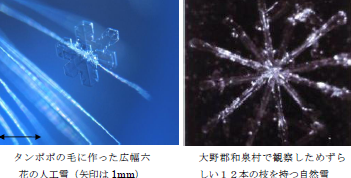 春山公民館で開催されたモデル事業_b0115553_1063763.png