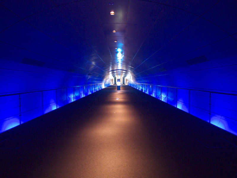 d0217053_15383951.jpg