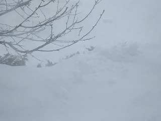 e0004756_20444459.jpg