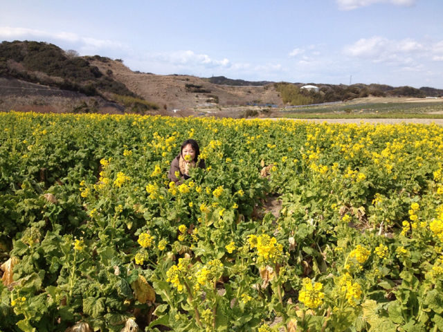 菜の花畑に入日薄れ~♪_f0109257_2145287.jpg