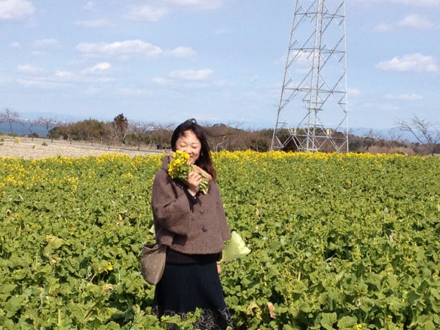 菜の花畑に入日薄れ~♪_f0109257_216316.jpg