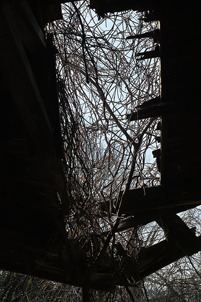 2013/03/03 真壁散歩:その1_b0171364_11525668.jpg