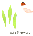 f0199868_122087.gif