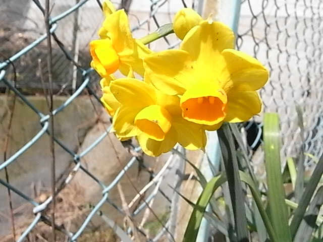 a0146070_6131158.jpg