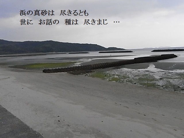 a0146070_6364481.jpg