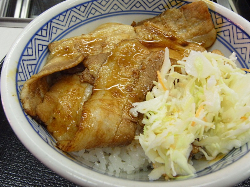 インパクトが欲しい〔吉野家/牛丼・各種丼〕_f0195971_11542496.jpg