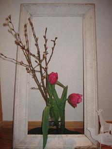 3 ・3 ・SUN day ***_e0290872_20584393.jpg