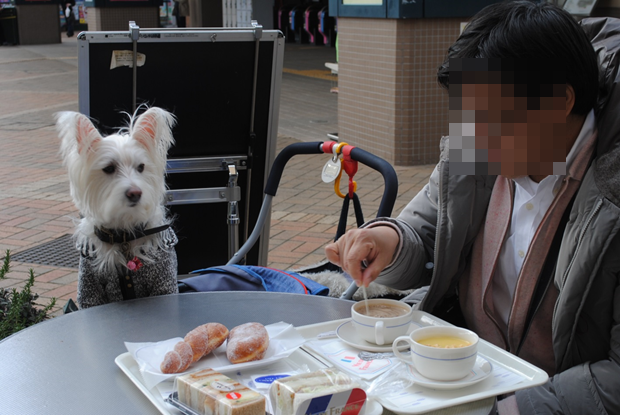 b0242873_1145841.png