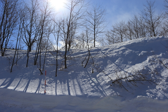 c0008378_10023.jpg