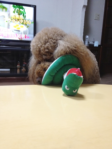 c0283778_15105366.jpg