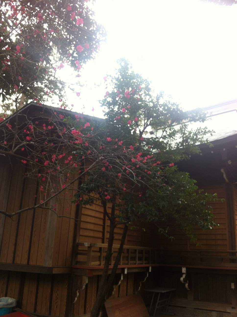 b0134285_210965.jpg