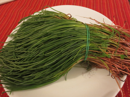春一番!!そして春を告げる野菜が登場!!_c0179785_77485.jpg