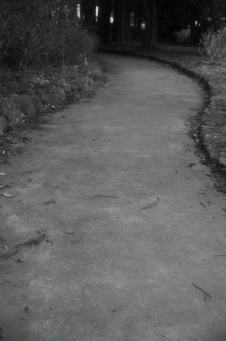b0159790_2302971.jpg