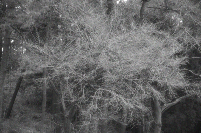 b0159790_2314630.jpg