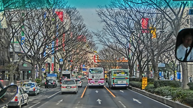 d0181492_2315255.jpg