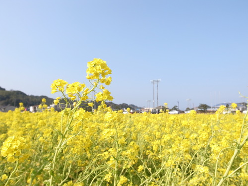 c0248097_17322829.jpg