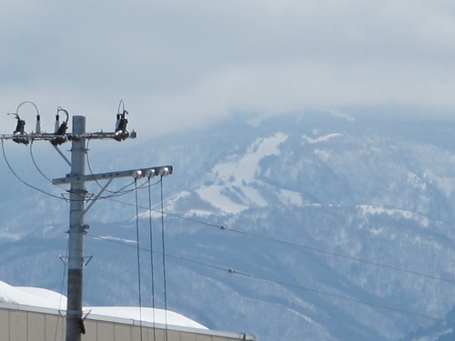 ３月４日（月）春の陽気だが雪が沢山のキャンパス（２）_c0075701_2135716.jpg