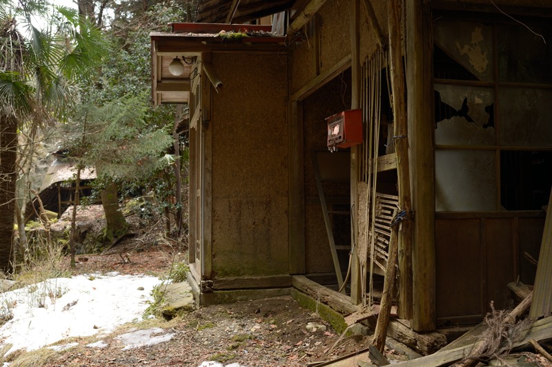 d0264503_2030711.jpg