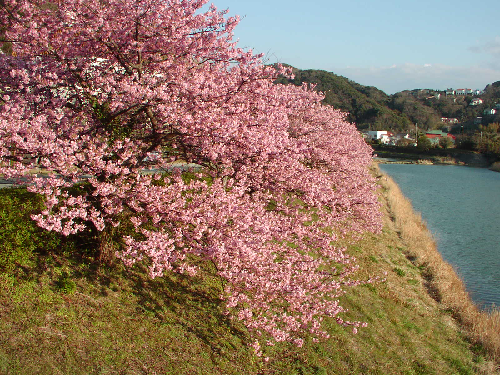 f0164410_201986.jpg
