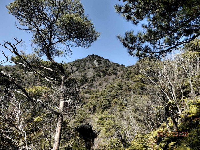 f0219710_74952.jpg