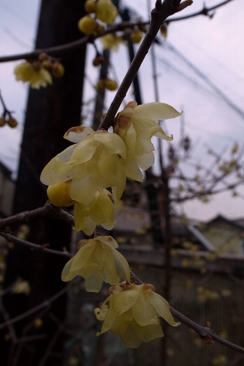 a0268412_22203237.jpg