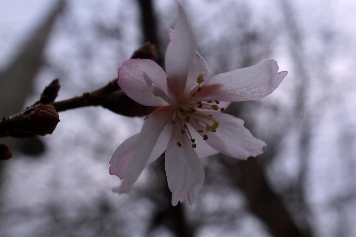 a0268412_22203378.jpg