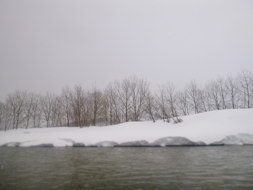 a0236914_958269.jpg
