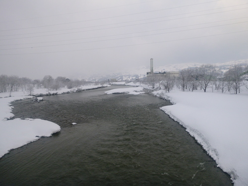 a0236914_958535.jpg
