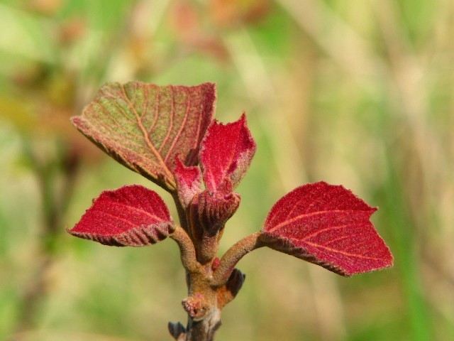 d0024426_93519.jpg