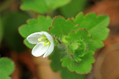 c0104227_45477.jpg