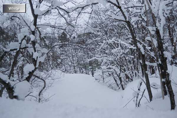 （名所）北海道（２）_c0227134_2342235.jpg