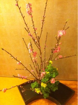 MGGの萌カワイイGACKTさん_c0036138_2073974.jpg